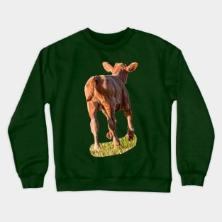 Frisky young calf Crewneck Sweatshirt